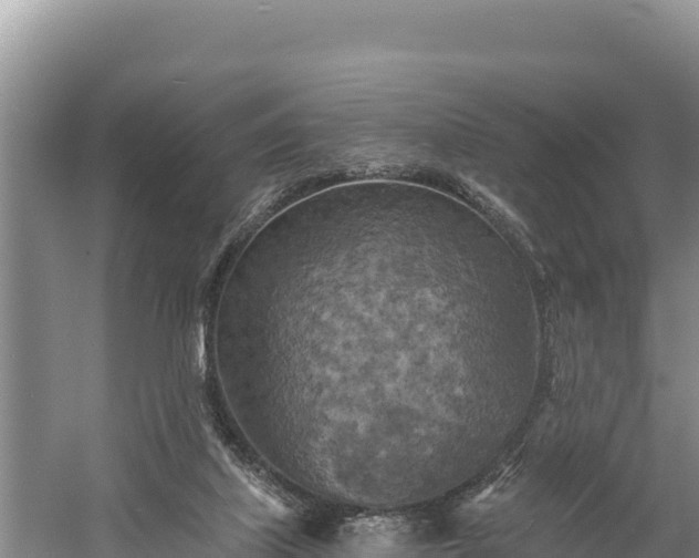 X0000058800067200510071713