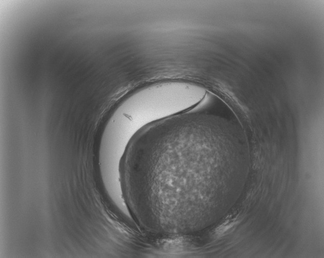 X0000058800068200510071713