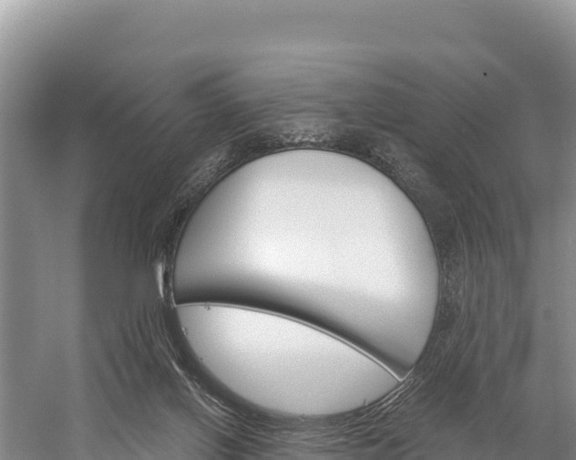 X0000058800070200510071713