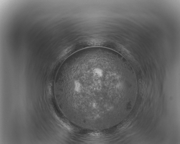 X0000058800071200510071713