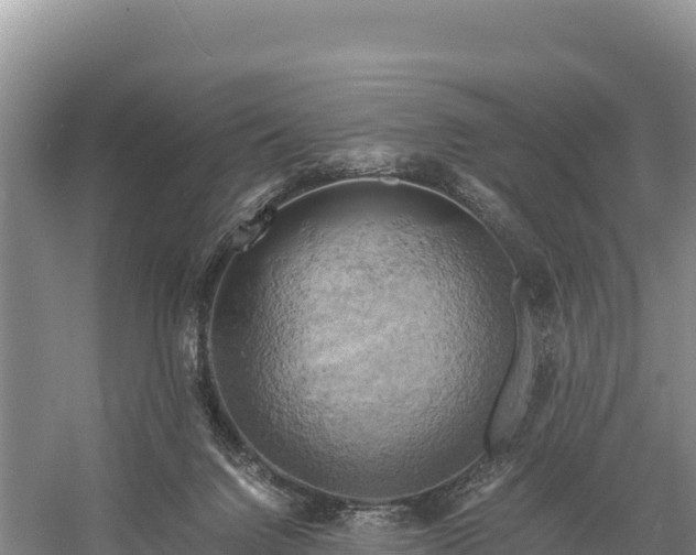 X0000058800072200510071713