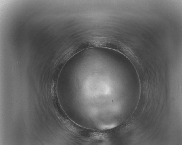 X0000058800073200510071713