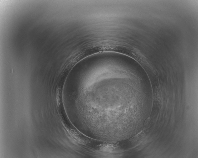 X0000058800074200510071713