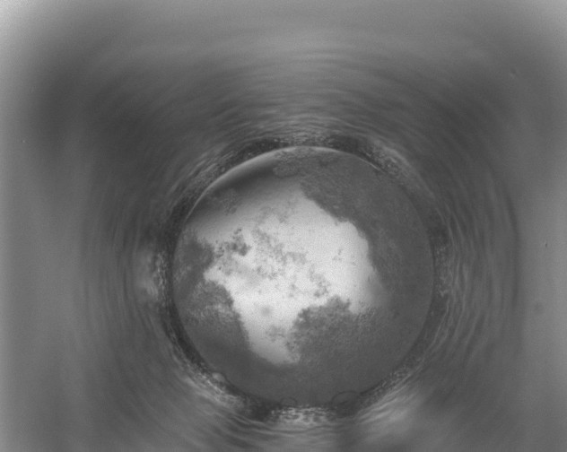 X0000058800077200510071713