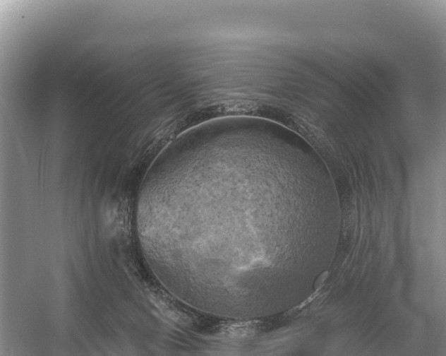 X0000058800078200510071713