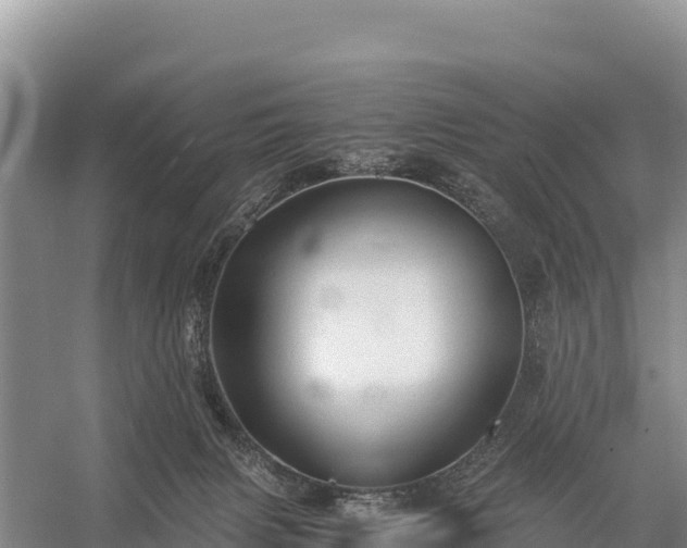 X0000058800079200510071713