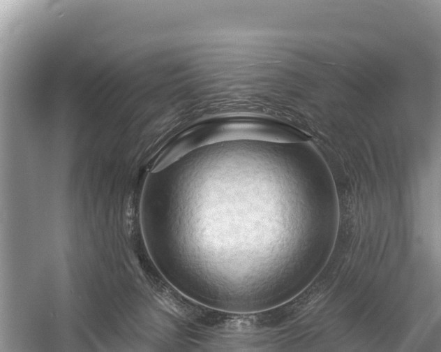 X0000058800080200510071713