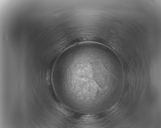 X0000058800082200510071713