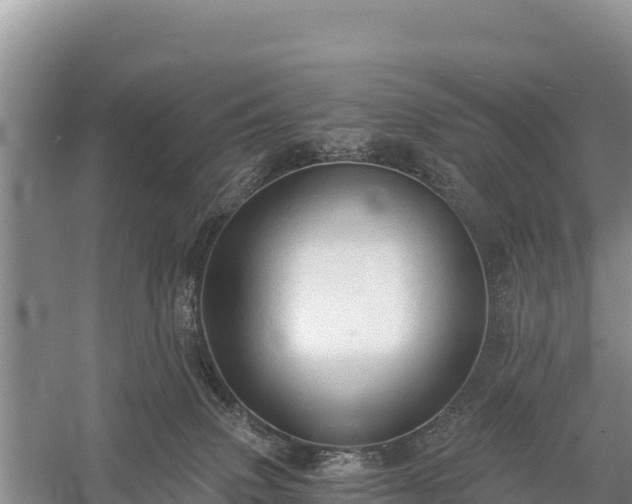 X0000058800083200510071713