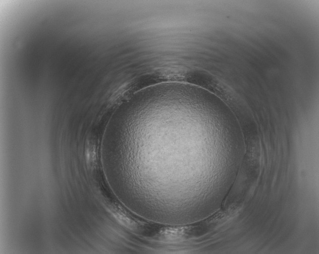 X0000058800084200510071713