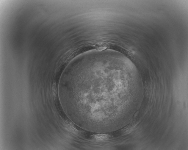 X0000058800085200510071713