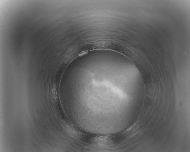 X0000058800086200510071713