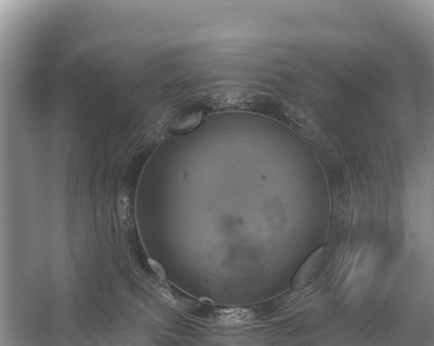 X0000058800087200510071713