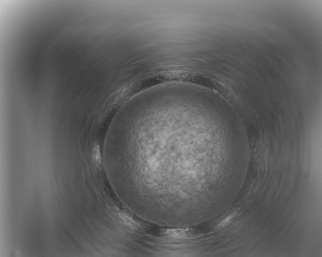 X0000058800089200510071713