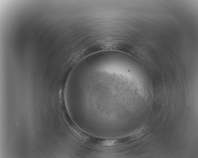 X0000058800090200510071713