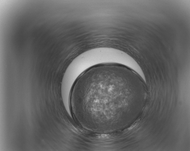 X0000058800091200510071713