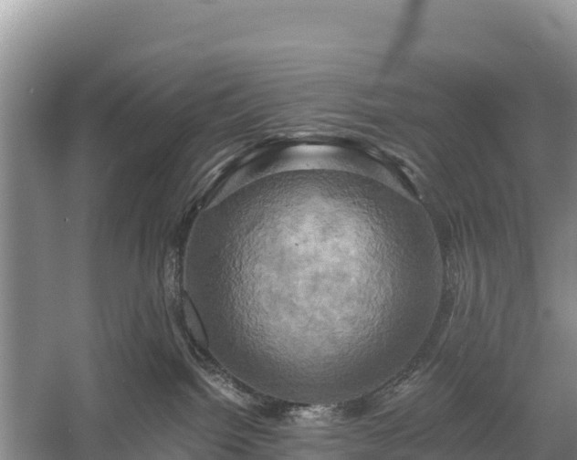 X0000058800092200510071713