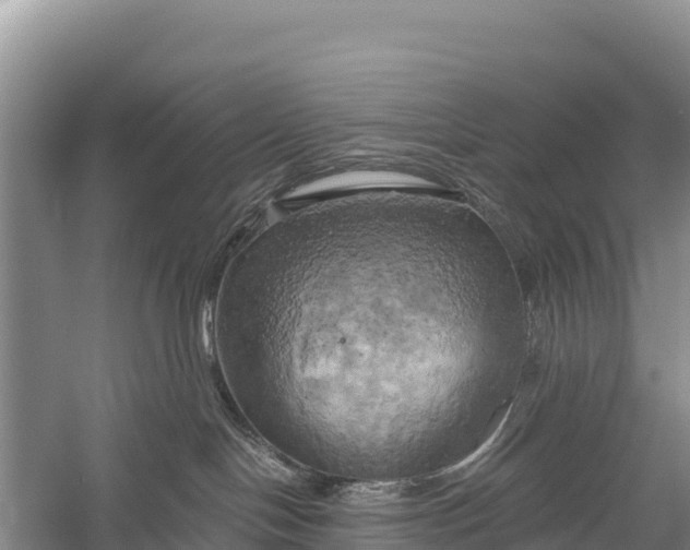 X0000058800094200510071713