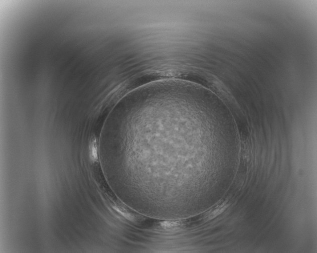 X0000058800095200510071713