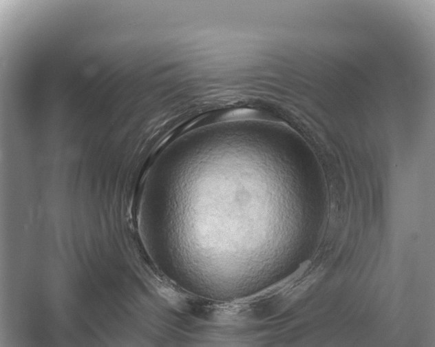 X0000058800096200510071713