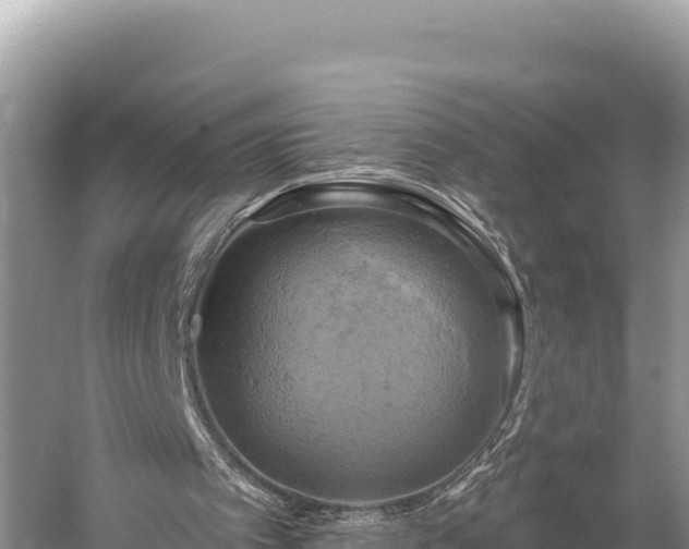 X0000058800097200510071712