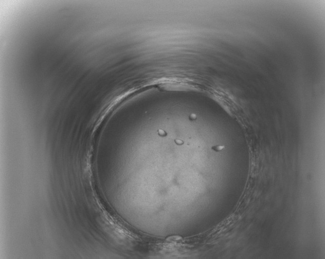 X0000058800098200510071712