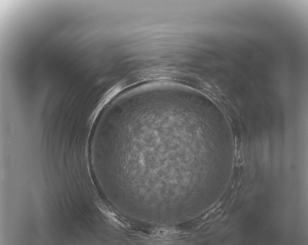 X0000058800099200510071712