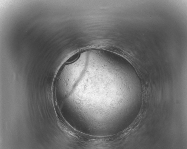 X0000058800100200510071712