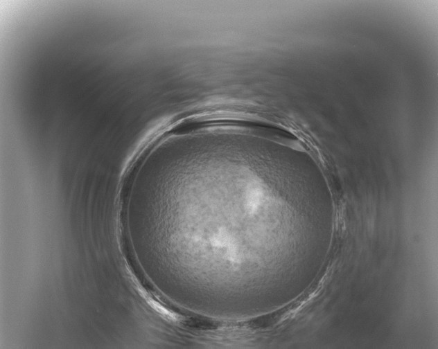 X0000058800101200510071712