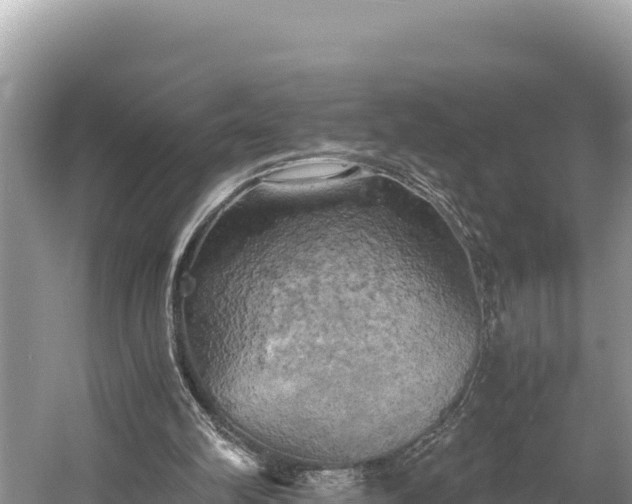 X0000058800102200510071712