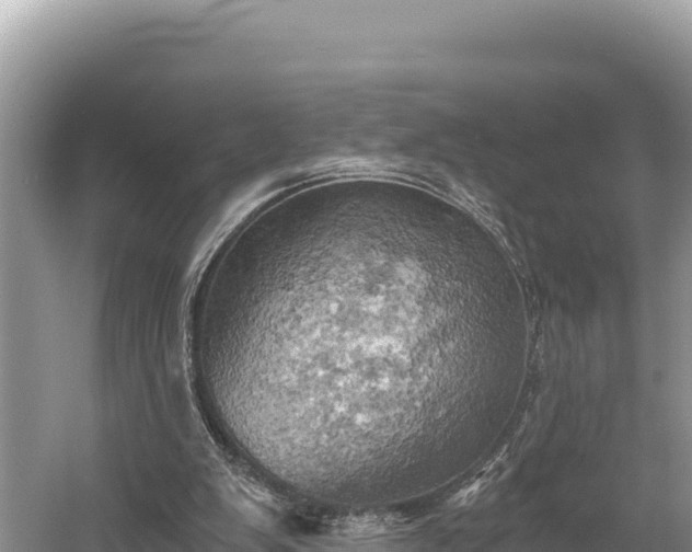 X0000058800103200510071712