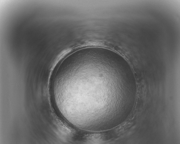 X0000058800104200510071712