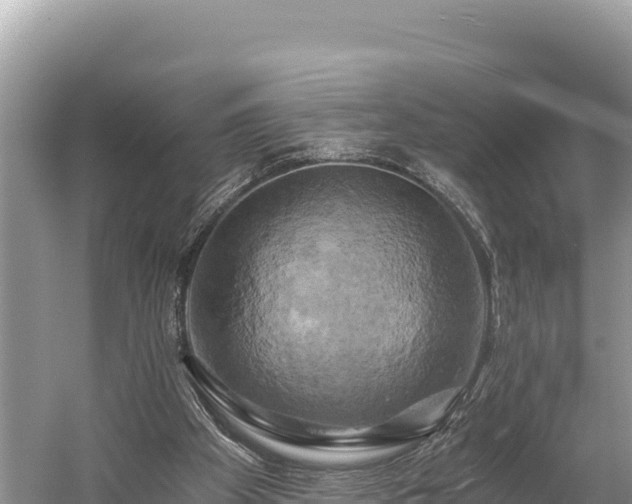 X0000058800105200510071712