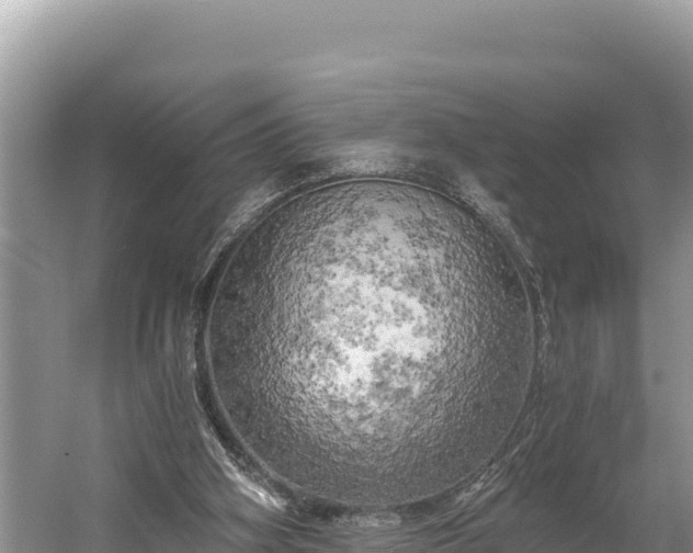 X0000058800106200510071712