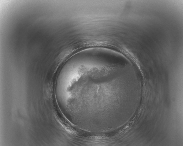 X0000058800107200510071712