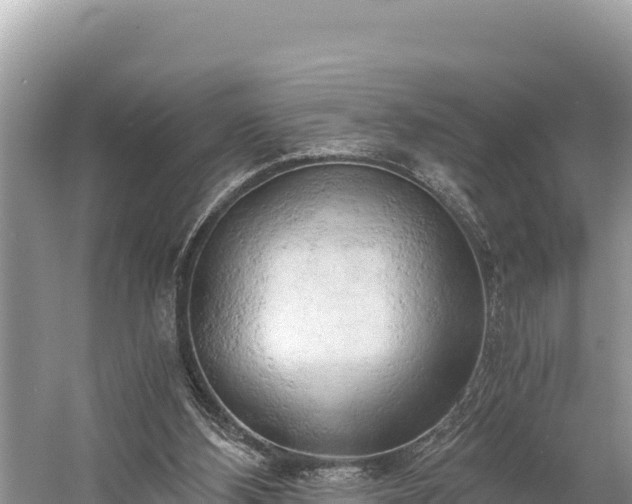 X0000058800108200510071712