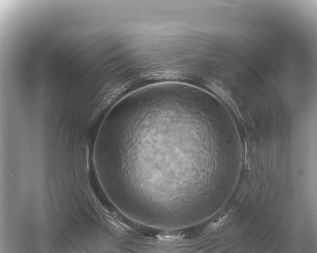 X0000058800109200510071712