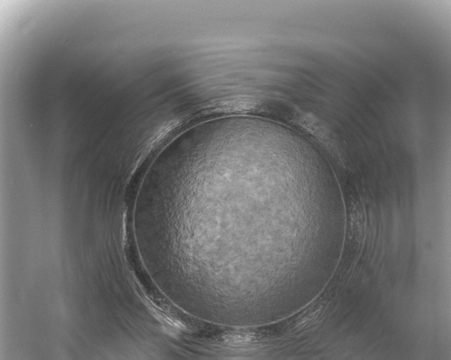 X0000058800110200510071712