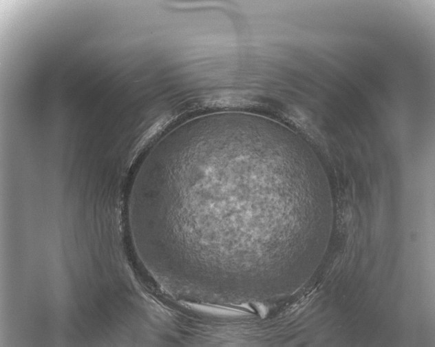 X0000058800111200510071712