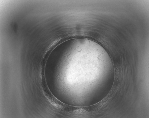 X0000058800112200510071712