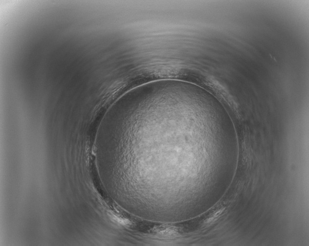 X0000058800113200510071712