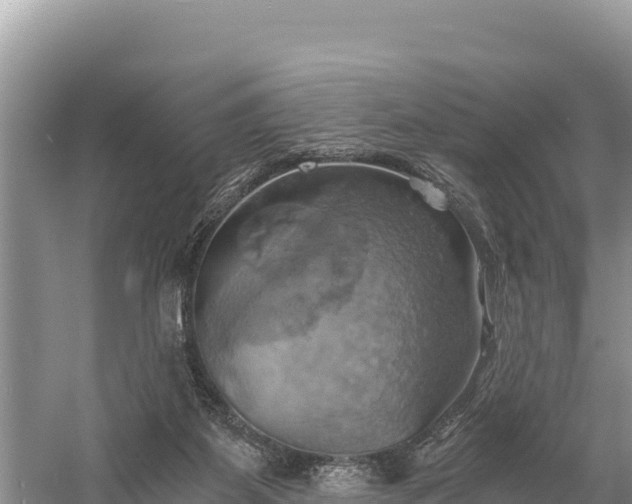 X0000058800115200510071712