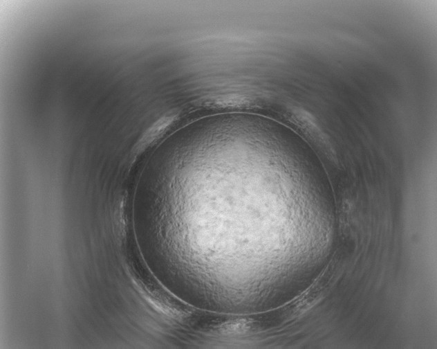 X0000058800116200510071712