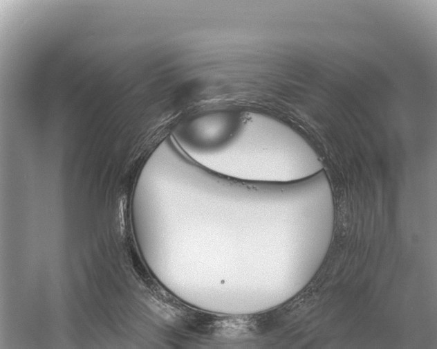 X0000058800118200510071712