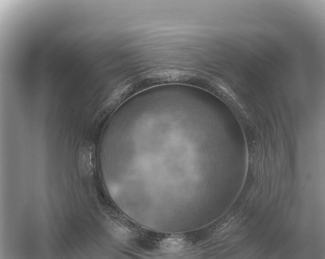 X0000058800119200510071712