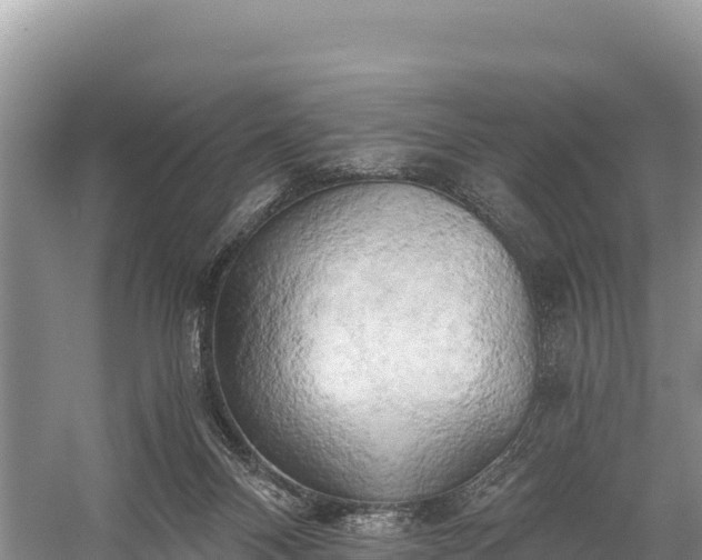 X0000058800120200510071712