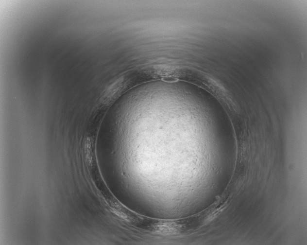 X0000058800121200510071712