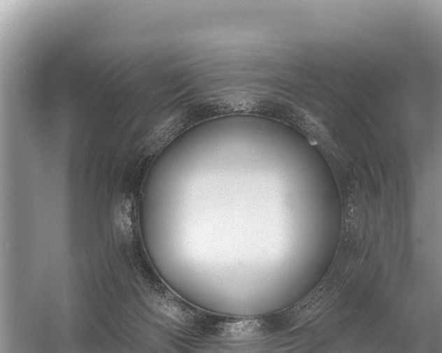 X0000058800122200510071712