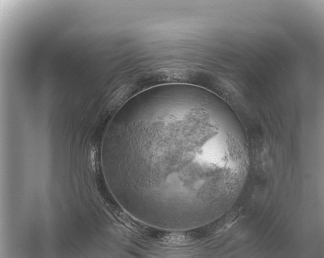 X0000058800123200510071712