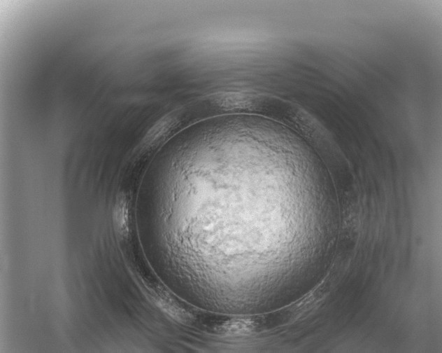 X0000058800124200510071712